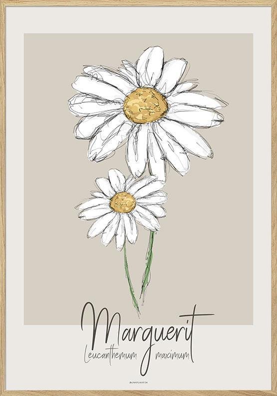 Konstposter - Marguerite