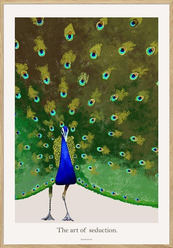 Poster med påfågel