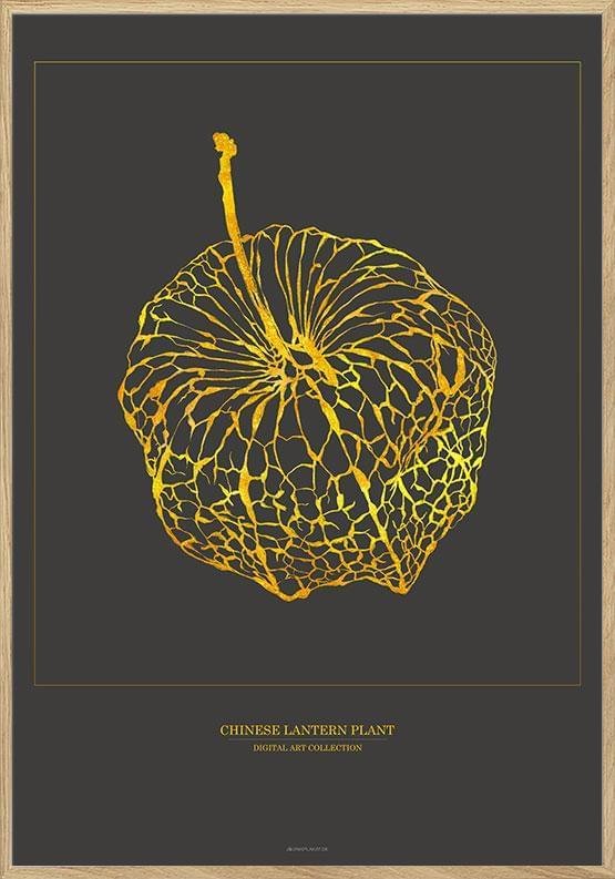 Kinesisk lykta växt - Konstposter