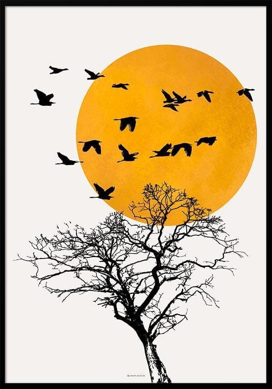 Poster med fågelflock vid solnedgången