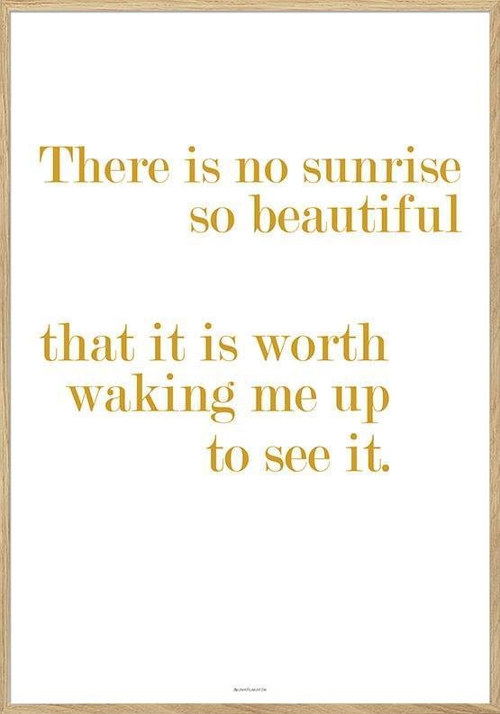 Citatplakat - Ingen soluppgång