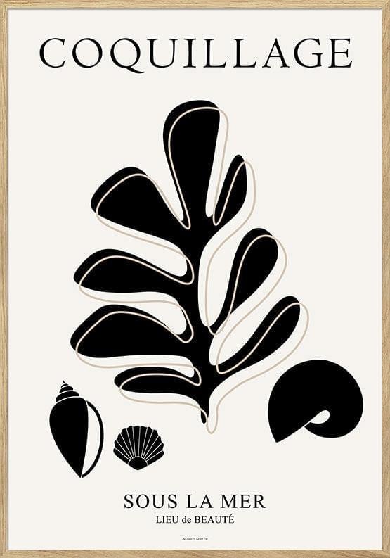 Konstaffisch - Under havet - Coquillage