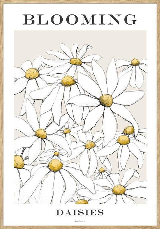 Blomsterposter - Blommande prästkragar