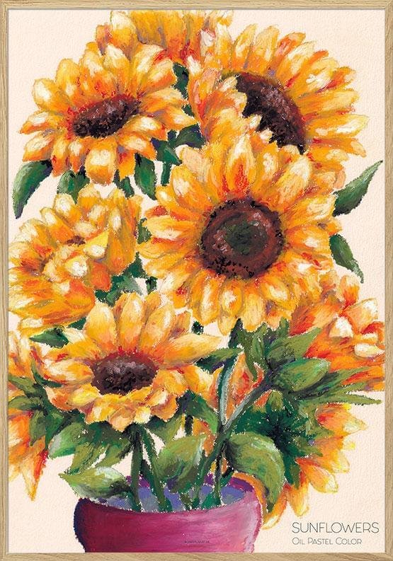 Solrosor poster - oljepastellteckning