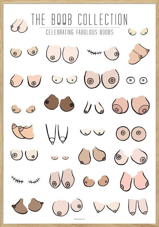 Poster med bröst - The Boob Collection