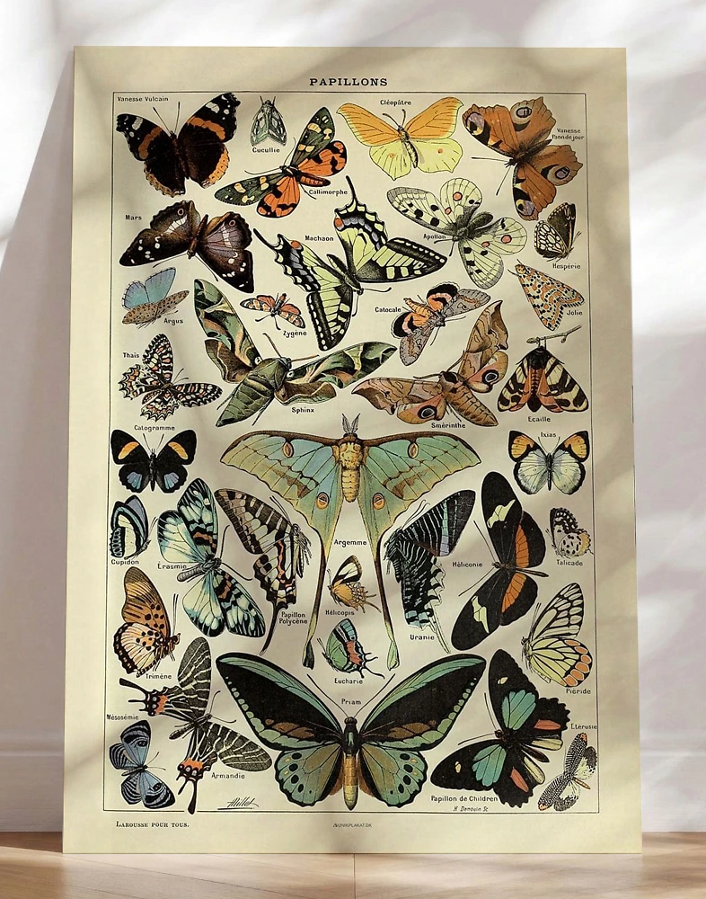 Adolphe Millot - Butterflies For All - Retroplakat med sommarfugle