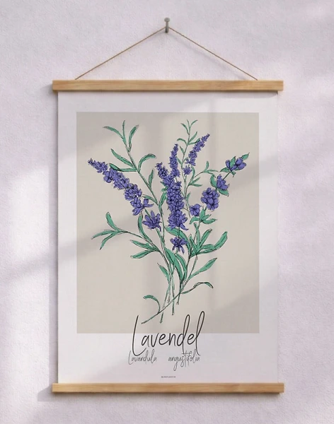 Konstposter - Lavendel