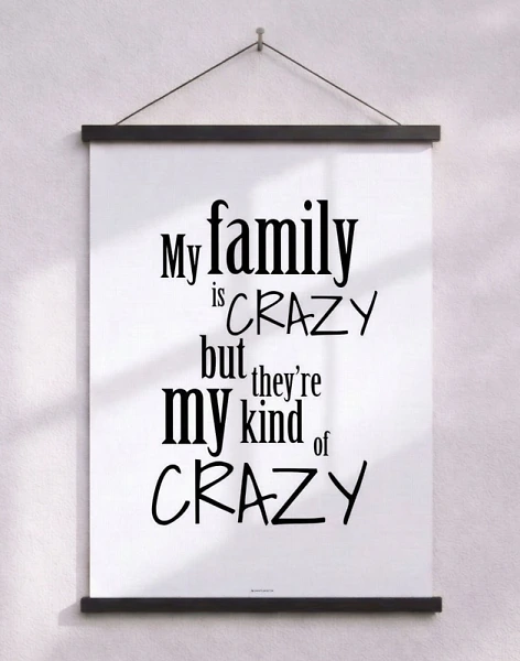 My familiy is crazy poster