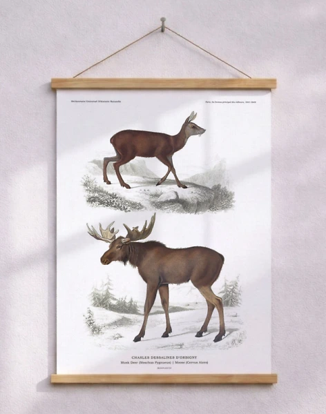 Affisch med hjort - retroaffisch