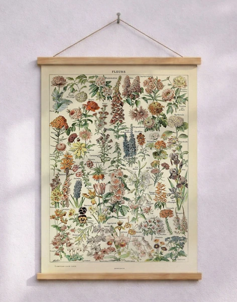 Adolphe Millot - Fleurs - Blomaffisch