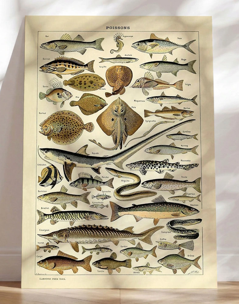 Plakat med fisk - Adolphe Millot - Poissons