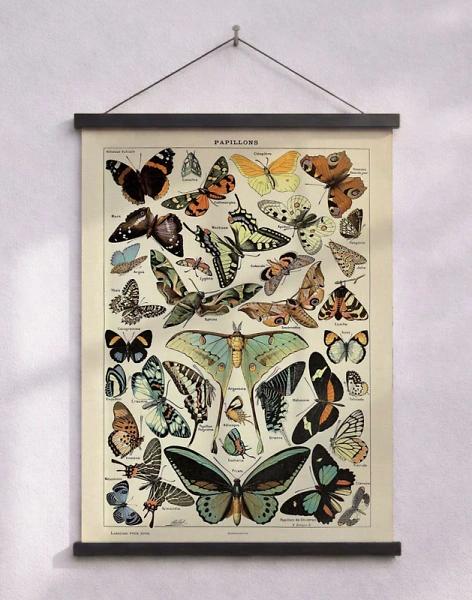 Adolphe Millot - Papillons Pour Tous - Retro affisch med fjärilar