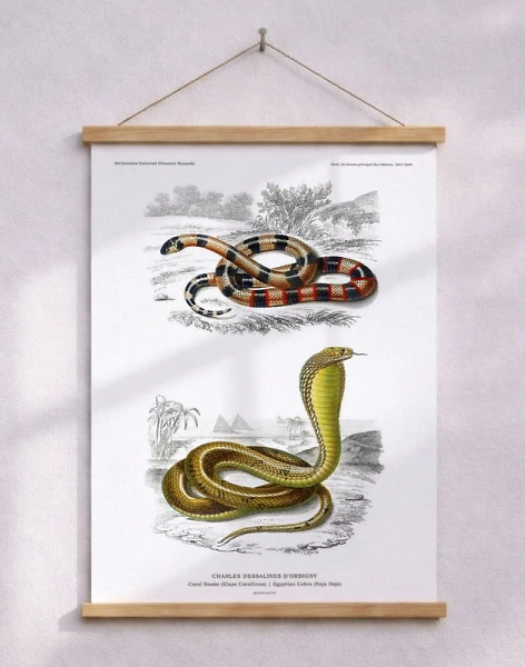 Affisch med ormar – uppslagsverk-affisch