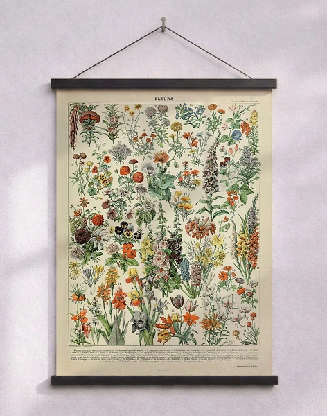 Adolphe Millot - Fleurs - Retroaffisch med blommor