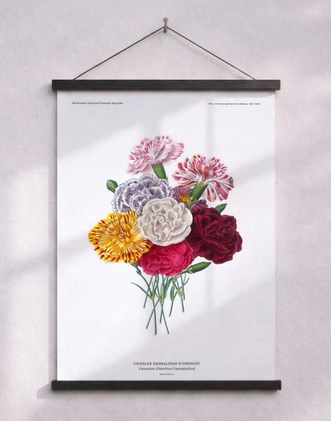 Kryddnejlika - Charles Dessalines encyklopediposter