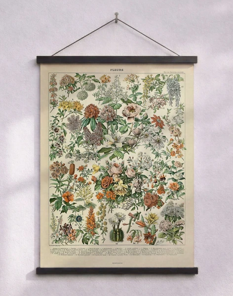 Adolphe Millot - Fleurs - Antik affisch med blommor