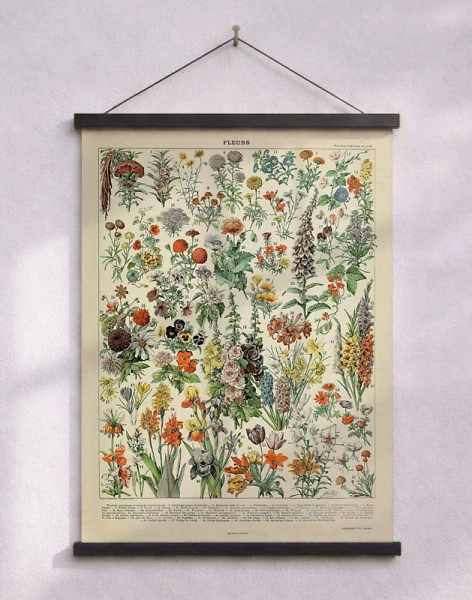Adolphe Millot - Fleurs - Retroaffisch med blommor