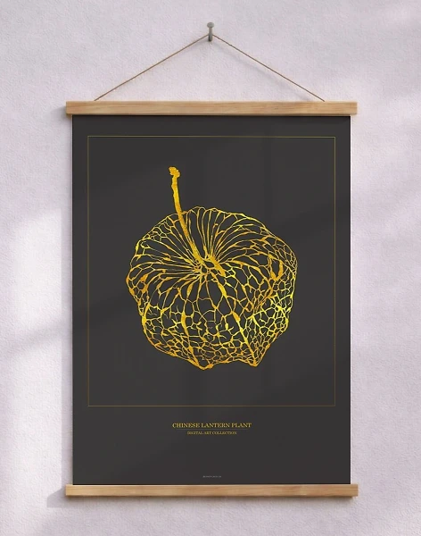Konstposter med grafisk guldeffekt - Chinese Lantern Plant