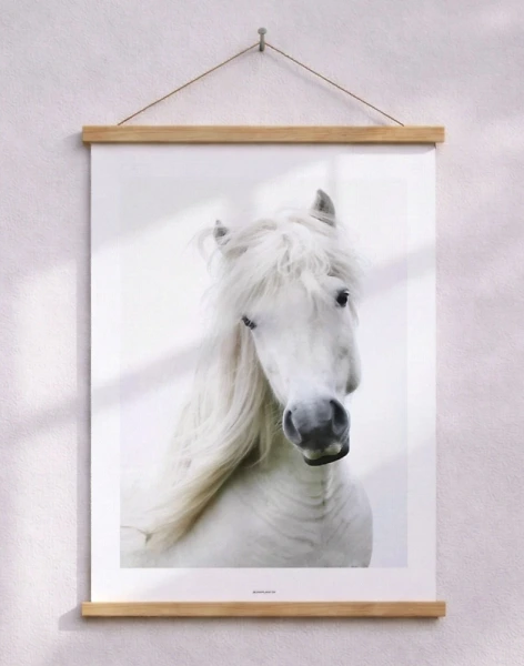 Hästposter - vit häst