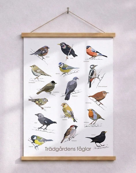 Affisch med trädgårdens fåglar - dekorativ poster för hemmet