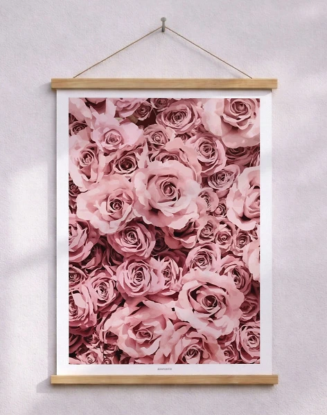Grafisk affisch - Pink roses