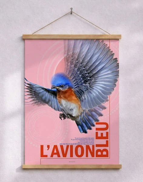 L'avion bleu - den blå flyger