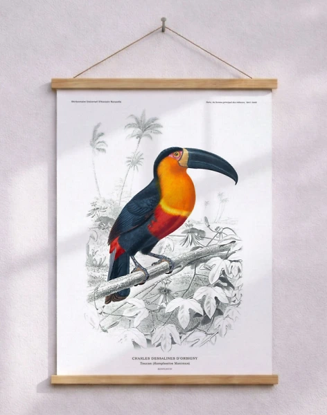 Tucan affisch - Charles Dessalines retroaffisch