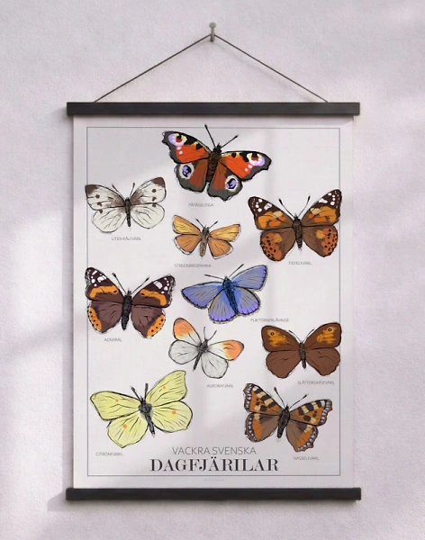 Fjärilsposter - 10 vanliga svenska fjärilar