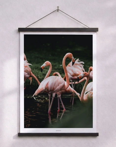 Affisch med flamingoer - Fotoaffisch